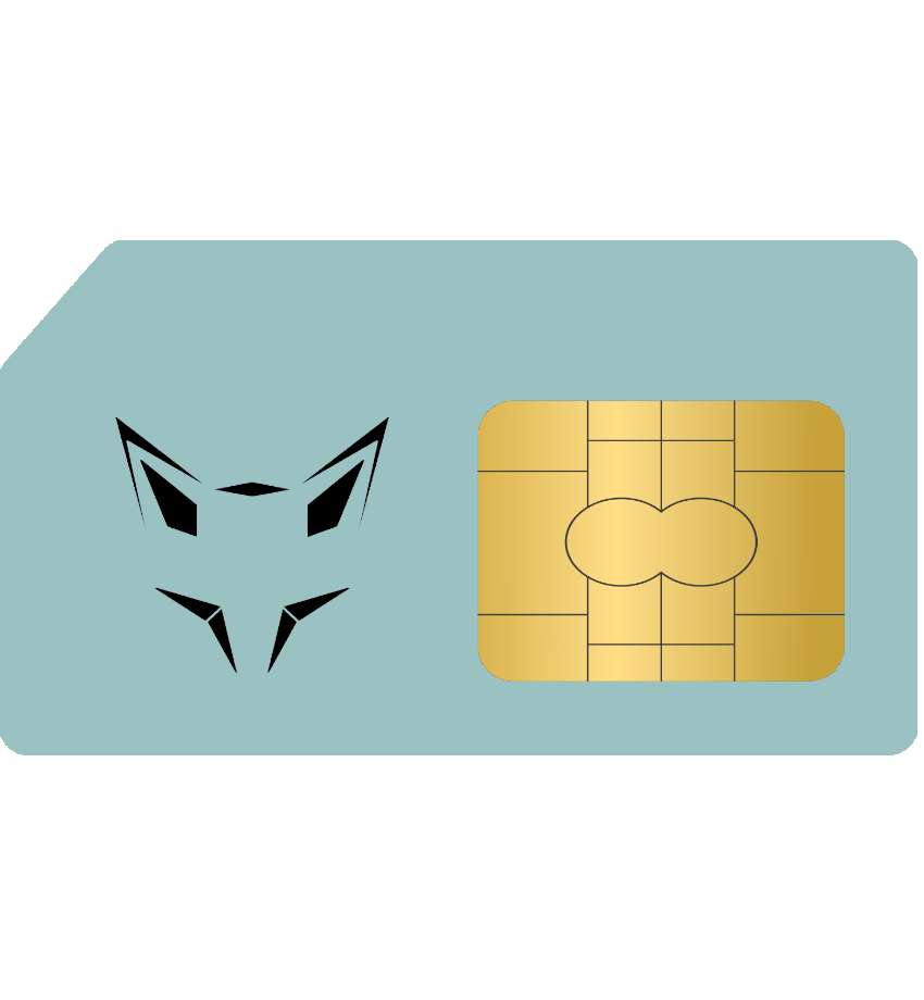 LoRaFOXX SIM Karte powered by Telekom für ein Jahr